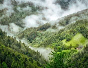 harnnovnei45ubn0fhc6