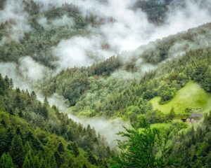 ufrsja5cpshvjdowelqt-4