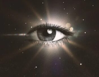 y4z2emp1gzvnuymwqrpw